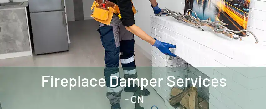  Fireplace Damper Services - ON