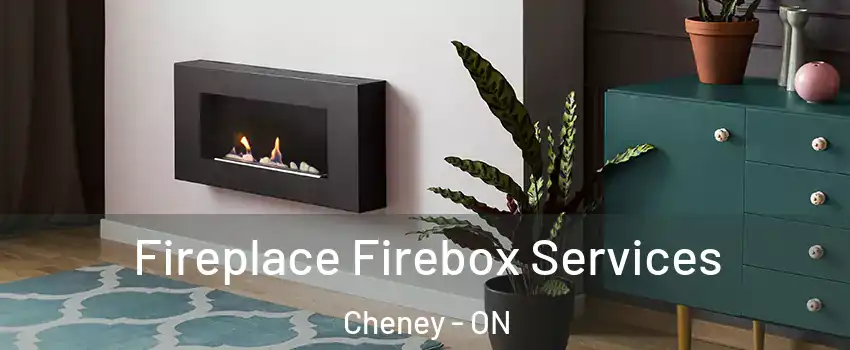  Fireplace Firebox Services Cheney - ON
