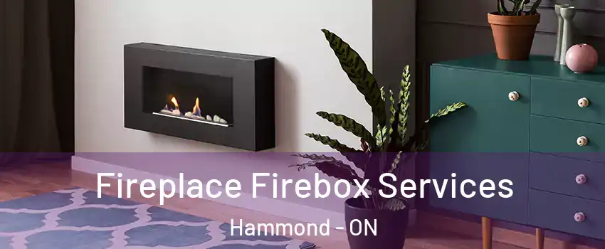  Fireplace Firebox Services Hammond - ON