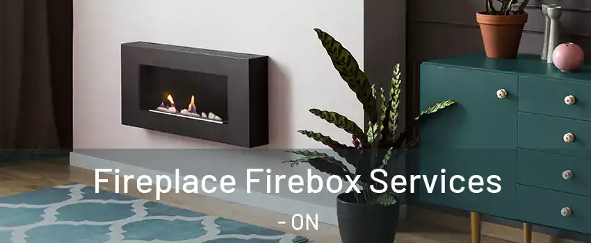 Fireplace Firebox Services - ON
