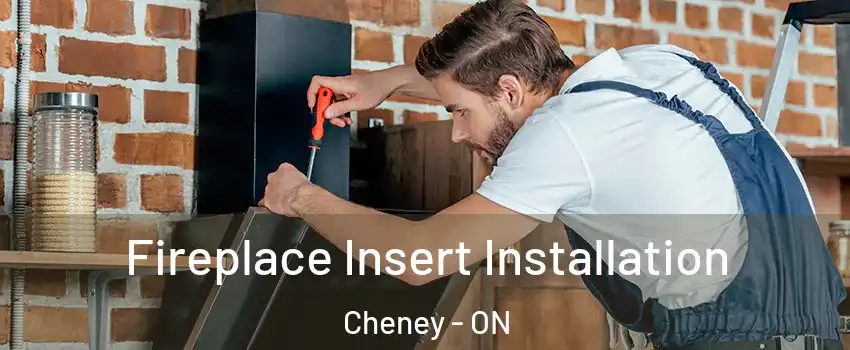  Fireplace Insert Installation Cheney - ON