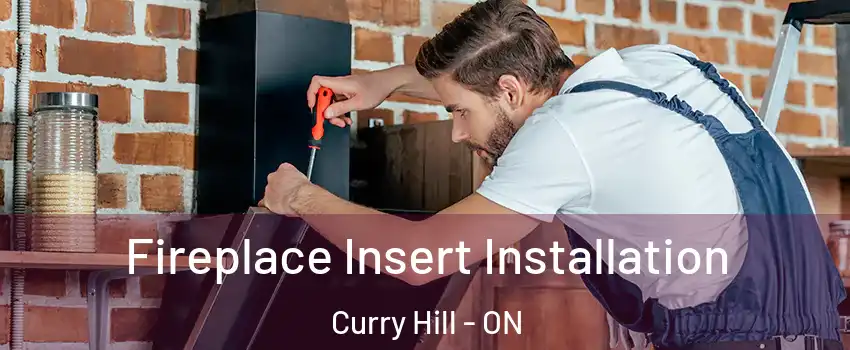 Fireplace Insert Installation Curry Hill - ON