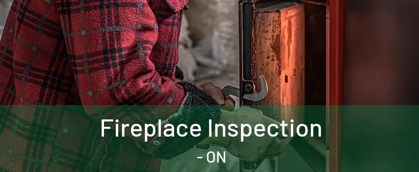  Fireplace Inspection - ON