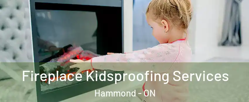  Fireplace Kidsproofing Services Hammond - ON