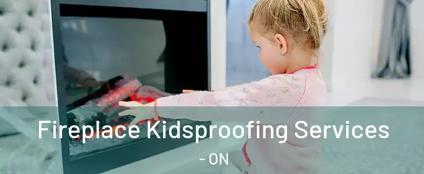  Fireplace Kidsproofing Services - ON