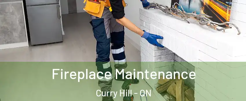  Fireplace Maintenance Curry Hill - ON