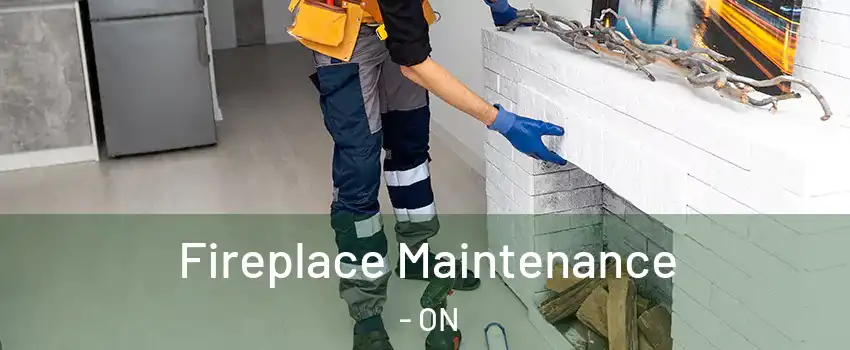 Fireplace Maintenance - ON