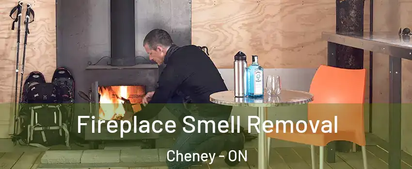  Fireplace Smell Removal Cheney - ON