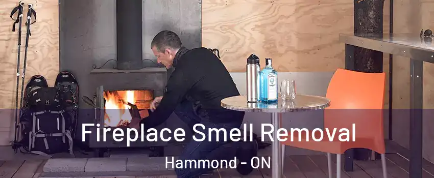  Fireplace Smell Removal Hammond - ON