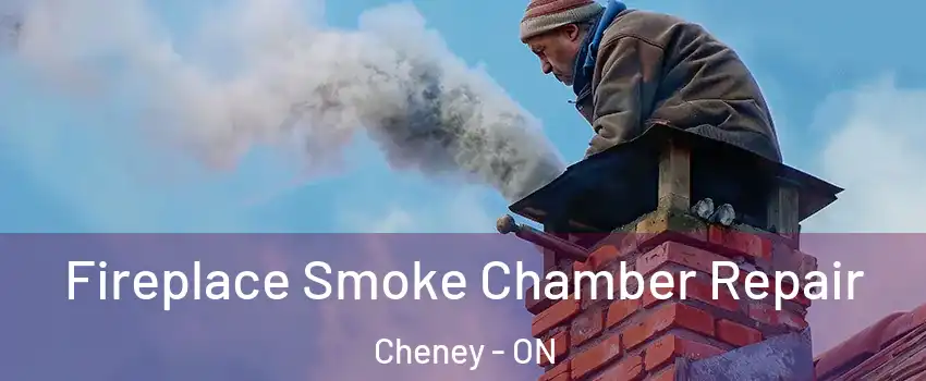  Fireplace Smoke Chamber Repair Cheney - ON