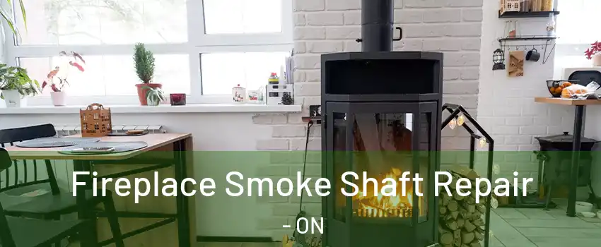  Fireplace Smoke Shaft Repair - ON