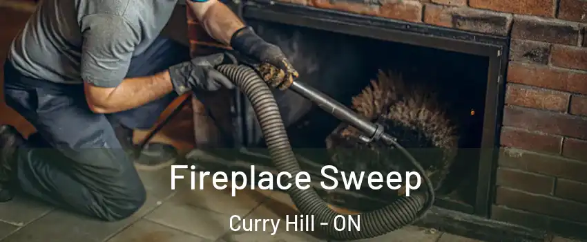 Fireplace Sweep Curry Hill - ON