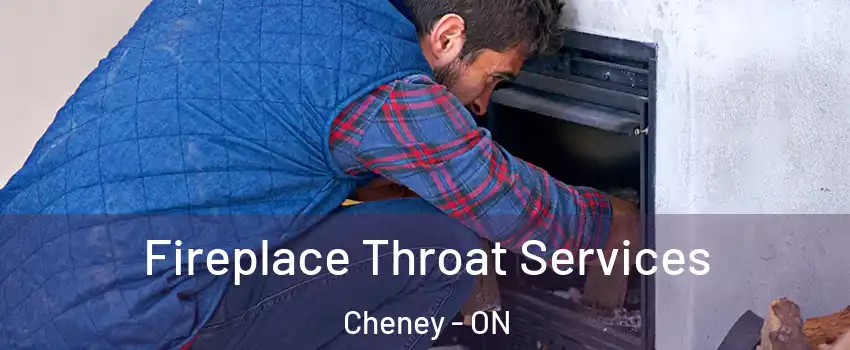  Fireplace Throat Services Cheney - ON