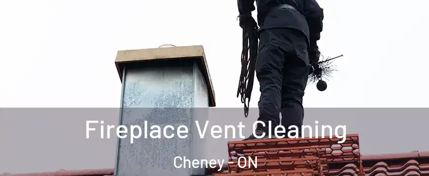  Fireplace Vent Cleaning Cheney - ON