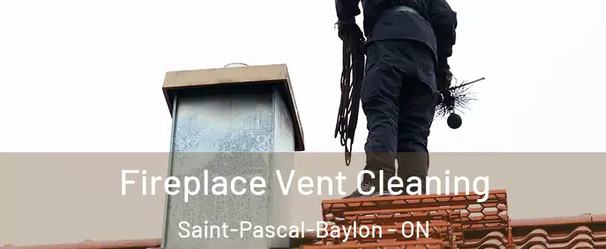  Fireplace Vent Cleaning Saint-Pascal-Baylon - ON