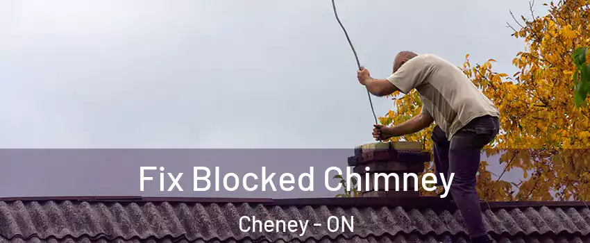  Fix Blocked Chimney Cheney - ON