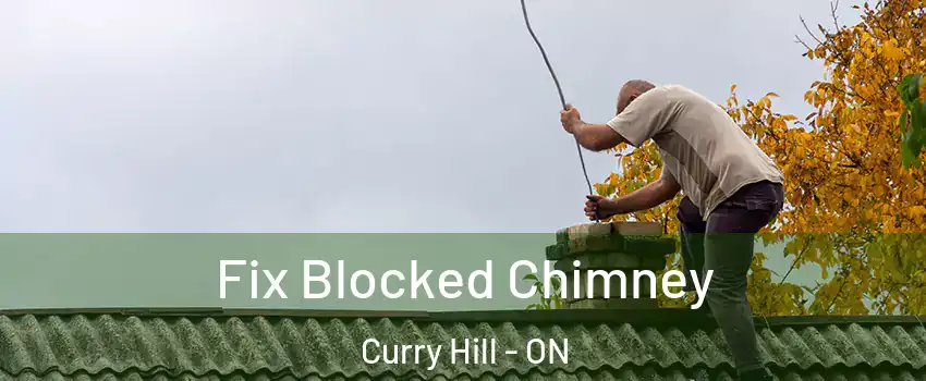  Fix Blocked Chimney Curry Hill - ON