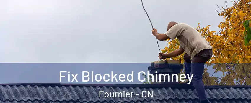  Fix Blocked Chimney Fournier - ON