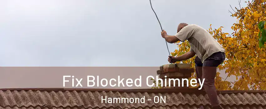  Fix Blocked Chimney Hammond - ON