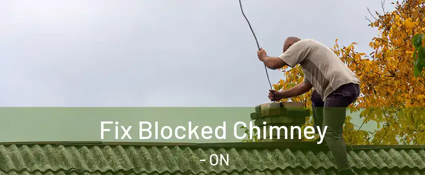  Fix Blocked Chimney - ON