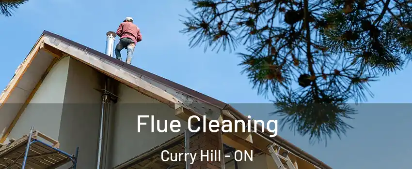  Flue Cleaning Curry Hill - ON