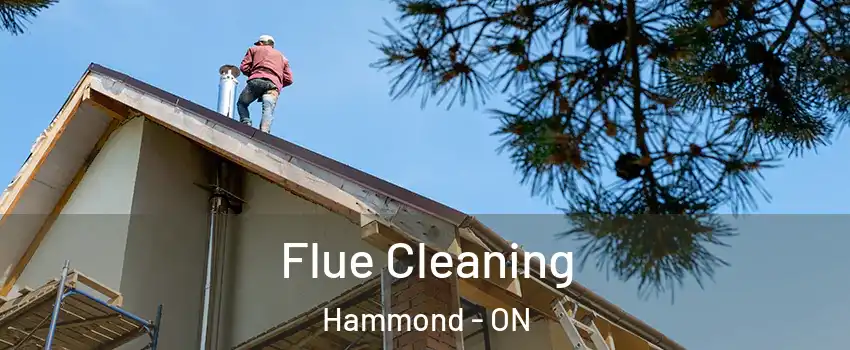  Flue Cleaning Hammond - ON