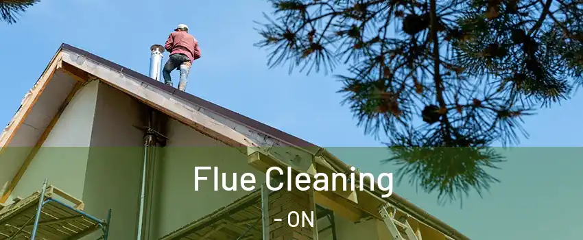  Flue Cleaning - ON