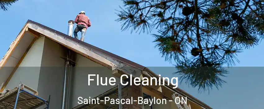  Flue Cleaning Saint-Pascal-Baylon - ON