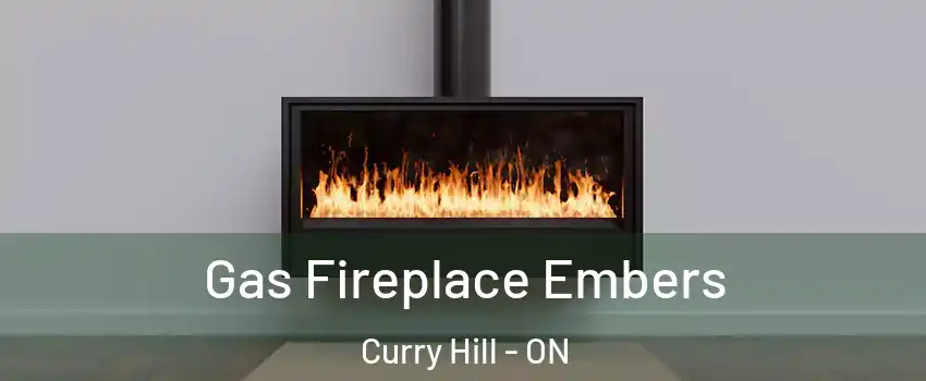  Gas Fireplace Embers Curry Hill - ON