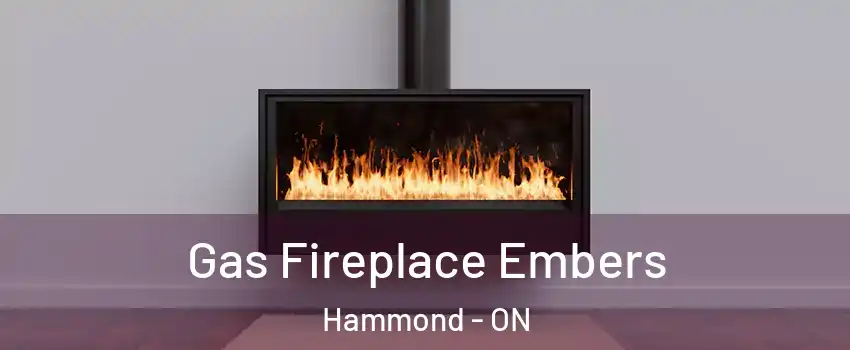  Gas Fireplace Embers Hammond - ON