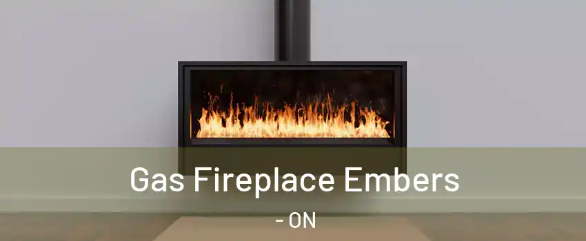  Gas Fireplace Embers - ON