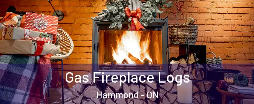  Gas Fireplace Logs Hammond - ON