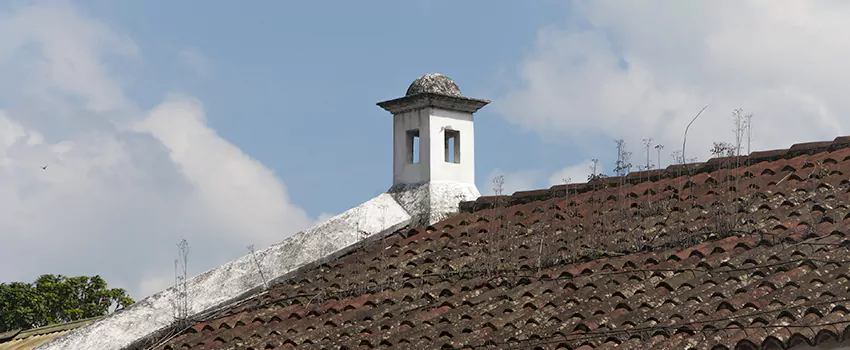 Wind-Resistant Chimney Caps Installation and Repair Services in Bourget, Ontario