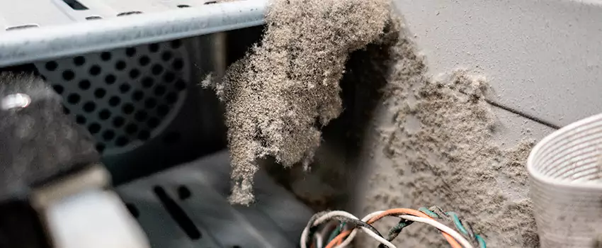 Clogged Dryer Vent Lint Cleaning in Bourget, Ontario