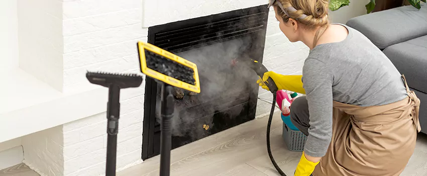 Fireplace Doors Cleaning in Bourget, Ontario