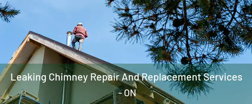  Leaking Chimney Repair And Replacement Services - ON