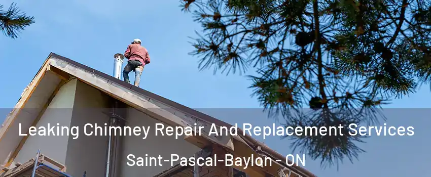  Leaking Chimney Repair And Replacement Services Saint-Pascal-Baylon - ON