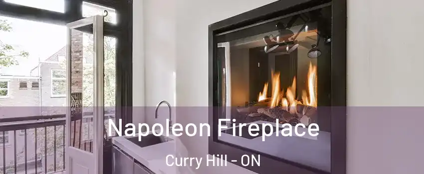  Napoleon Fireplace Curry Hill - ON