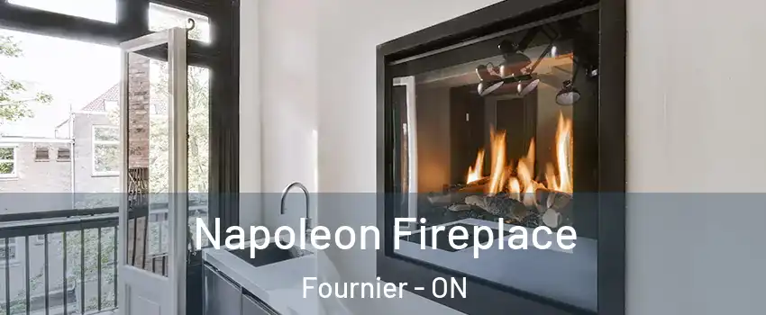  Napoleon Fireplace Fournier - ON
