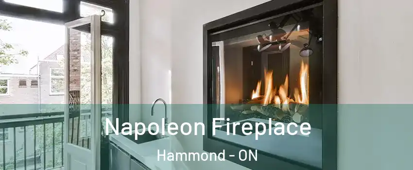  Napoleon Fireplace Hammond - ON