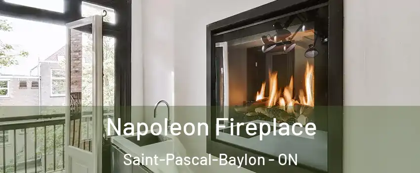  Napoleon Fireplace Saint-Pascal-Baylon - ON