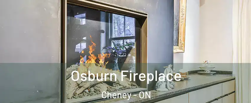  Osburn Fireplace Cheney - ON