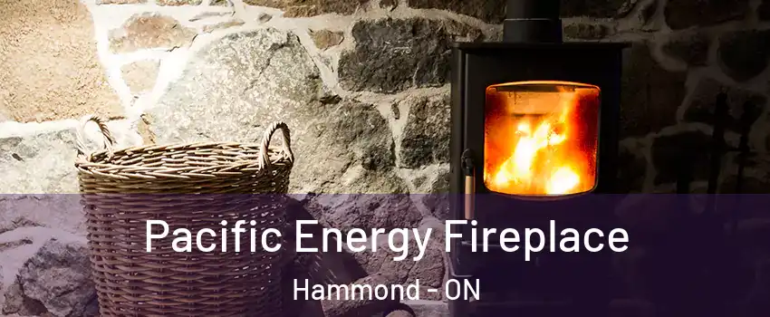 Pacific Energy Fireplace Hammond - ON