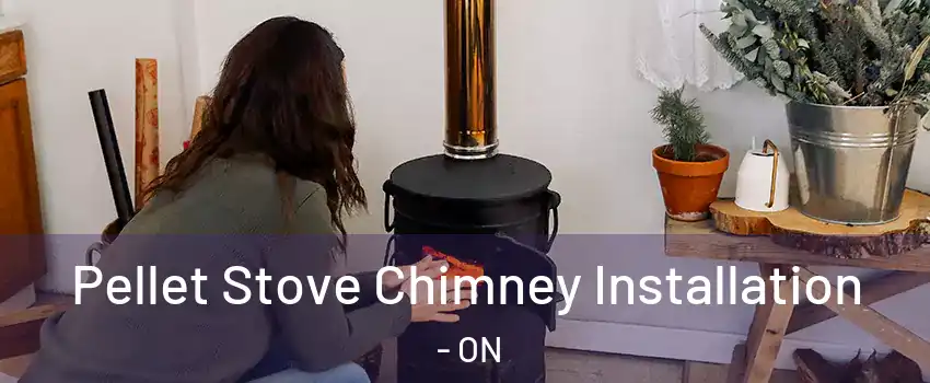  Pellet Stove Chimney Installation - ON