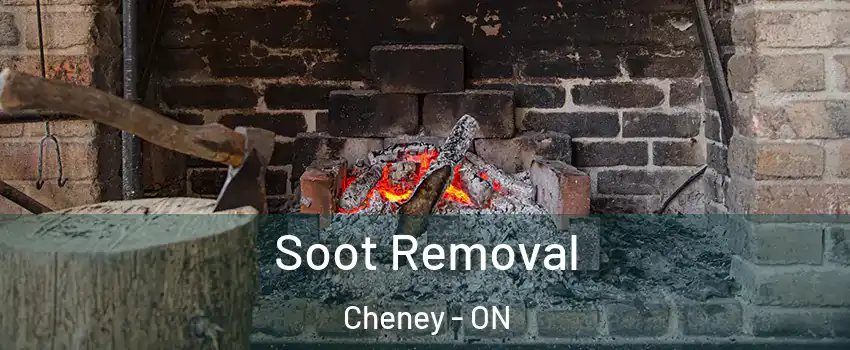  Soot Removal Cheney - ON