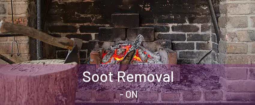  Soot Removal - ON