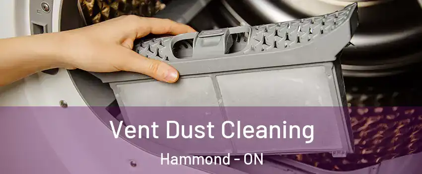  Vent Dust Cleaning Hammond - ON