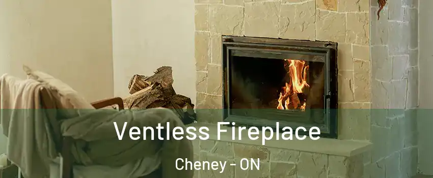  Ventless Fireplace Cheney - ON