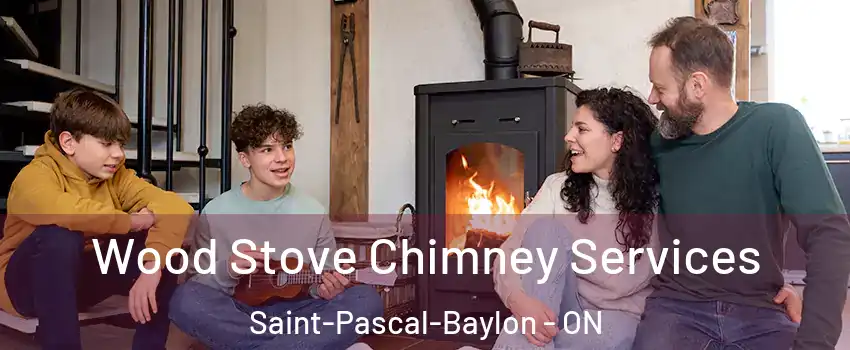  Wood Stove Chimney Services Saint-Pascal-Baylon - ON