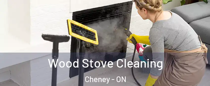  Wood Stove Cleaning Cheney - ON